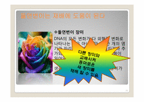 [생물학] 유전자와 돌연변이-15