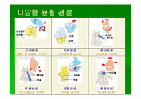 [스포츠의학] 스포츠의학의 이해(Wrist)-4