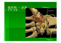 [스포츠의학] 스포츠의학의 이해(Wrist)-5