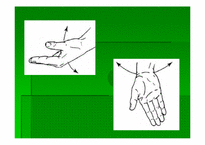 [스포츠의학] 스포츠의학의 이해(Wrist)-7