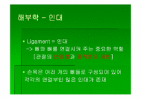 [스포츠의학] 스포츠의학의 이해(Wrist)-11