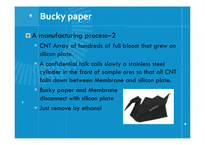 [나노복합재료] Bucky Paper(영어)-4