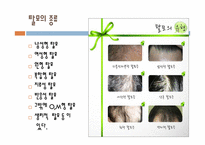 [화장품과학] 탈모의 이해 및 예방법-4