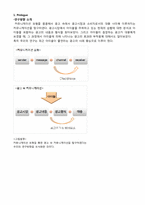 [광고학] 아이돌이 포함된 광고 속 커뮤니케이션 탐구-3