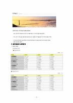 [재무관리] 현대자동차와 쌍용자동차 기업분석 보고서(2007~2009년)-6