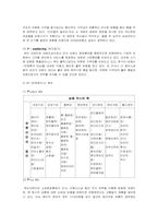 [경영학] 뷰티 크레딧의 STP, 4P, SWOT 분석-2