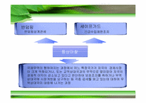 [국제경영] 포스코의 대미 통상 마찰-7