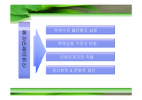 [국제경영] 포스코의 대미 통상 마찰-8