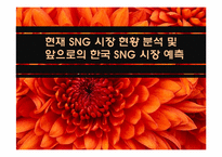 [정보산업론] SNG 시장 현황 분석 및 앞으로의 한국 SNG 시장 예측-1