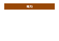 [정보산업론] SNG 시장 현황 분석 및 앞으로의 한국 SNG 시장 예측-3