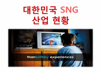 [정보산업론] SNG 시장 현황 분석 및 앞으로의 한국 SNG 시장 예측-7