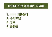 [정보산업론] SNG 시장 현황 분석 및 앞으로의 한국 SNG 시장 예측-11