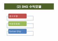 [정보산업론] SNG 시장 현황 분석 및 앞으로의 한국 SNG 시장 예측-14