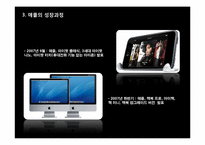[경영학] Apple의 창업과 Steve Jobs - 잡스의 기업가 정신-13