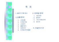[마케팅] 딤채 프리미엄 브랜드확장 및 광고 마케팅 전략-3