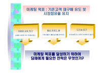 [마케팅] 딤채 프리미엄 브랜드확장 및 광고 마케팅 전략-8