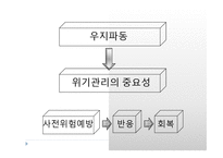 [경영학] 삼양라면 마케팅 실패사례-17