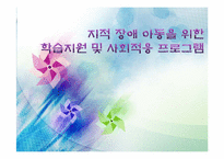 [사회복지 프로그램] 지적 장애 아동을 위한 학습지원 및 사회적응 프로그램 계획안-1
