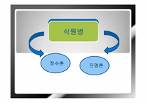 [노인복지] 웰빙라이프를 위한 노화와 식품의 영양기능-3
