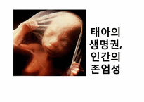 우리나라의 낙태 관련 법안의 문제점-8