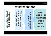 [정치학] NGO 유형과 사례 및 발전방향-9