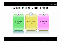 [정치학] NGO 유형과 사례 및 발전방향-17