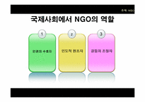 [정치학] NGO 유형과 사례 및 발전방향-18