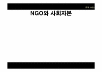 [정치학] NGO 유형과 사례 및 발전방향-20