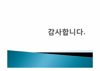 스마트폰의 종류 및 발전전망-20