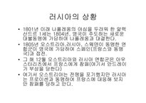 톨스토이 `전쟁과 평화`의 역사적 배경 조사-3
