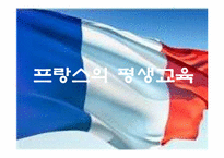[교육학] 미국, 영국, 프랑스의 평생교육-17