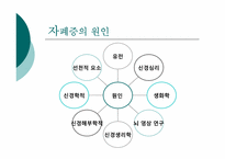 [특수교육] 자폐증의 특징 및 조기 치료법-2