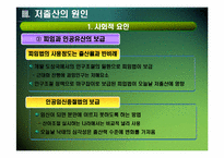 [저출산] 저출산 문제의 현황과 대책-10