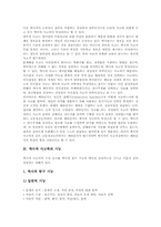 [역사적사고력][역사적사고력지도]역사적 사고력 개념, 역사적 사고력 특성, 역사적 사고력 기능, 역사적 사고력 영역, 역사적 사고력 지도 사례-5