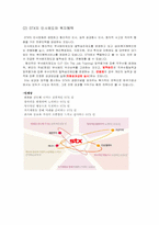 [인적자원관리] 기업사례를 통한 인적자원 관리 분석(STX와 신한은행을 중심으로)-4