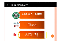 [인적자원관리론] 디지털시대의 E-HR(Electronic HR)-9