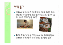 [창업론] 퓨전주먹밥 창업계획서-9