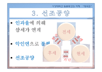 [일본종교의이해] 일본의 신종교와 영우회-11