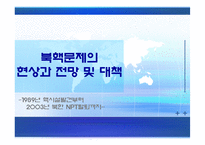 [한국의국제관계] 북핵문제의 현상과 전망, 그리고 대책-1
