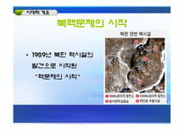 [한국의국제관계] 북핵문제의 현상과 전망, 그리고 대책-4