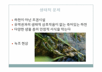 [도시와인간] 청개천의 문제점과 활성화 방안-9