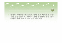 [고전문학] 우리나라 민속극의 종류와 컨텐츠화 방안(봉산탈춤과 꼭두각시놀음)-16