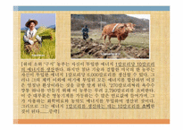 [사고와표현] 제레미 리프킨의 엔트로피-15