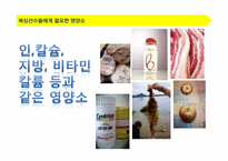 [스포츠영양학] 복싱과 식단조절-9