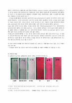 [염색실습] 염기성, 반응성 염료에 의한 염색-5