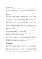 맥도날드 마케팅전략및 발전방향-12