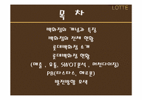 롯데백화점 경영전략분석과 향후발전방향-2