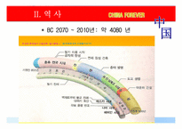 중국(개관,역사,축제,명절,음식,문화유산,관광지)-11