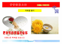 중국(개관,역사,축제,명절,음식,문화유산,관광지)-17