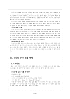[국제경영] 농심 신라면의 중국진출 성공사례에 관한 조사-10